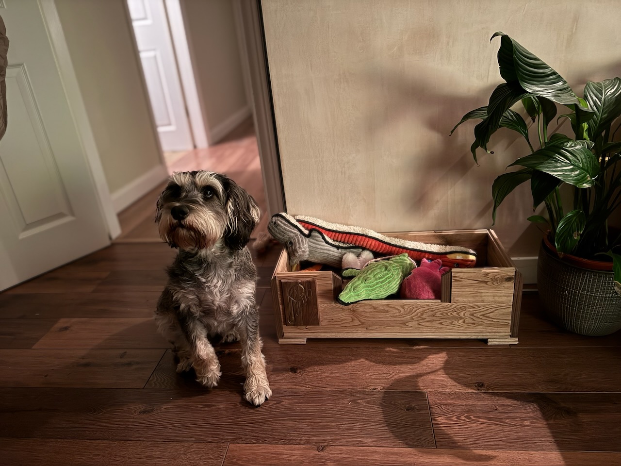 Toy Box